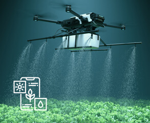 Smart ERP & cloud solutions