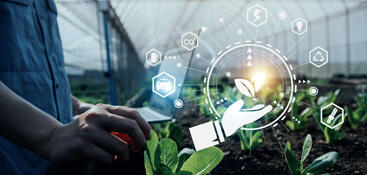 ERP Modernization & Implementation