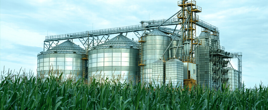 Agro Industry ERP Transformation with JD Edwards EnterpriseOne